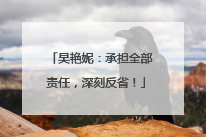 吴艳妮：承担全部责任，深刻反省！