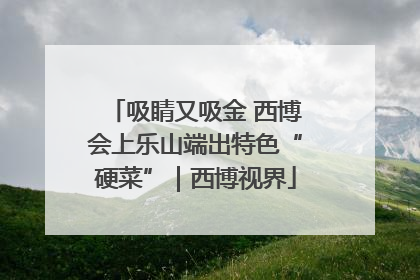 吸睛又吸金 西博会上乐山端出特色“硬菜”｜西博视界