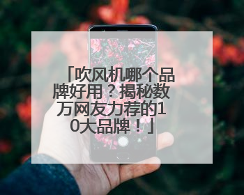 吹风机哪个品牌好用？揭秘数万网友力荐的10大品牌！
