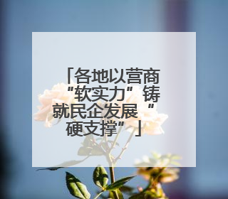 各地以营商“软实力”铸就民企发展“硬支撑”
