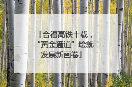 合福高铁十载，“黄金通道”绘就发展新画卷