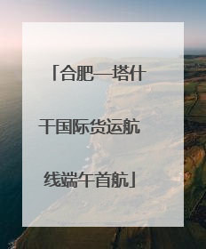 合肥—塔什干国际货运航线端午首航