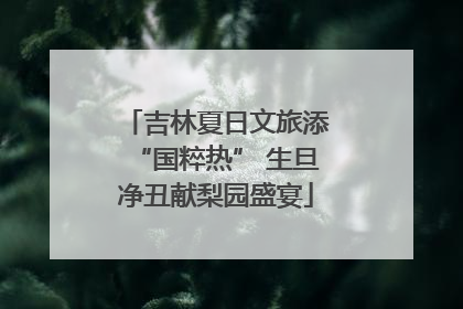 吉林夏日文旅添“国粹热” 生旦净丑献梨园盛宴