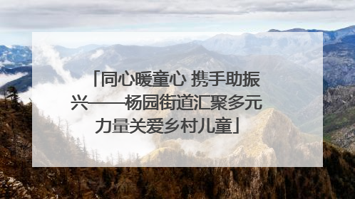 同心暖童心 携手助振兴——杨园街道汇聚多元力量关爱乡村儿童