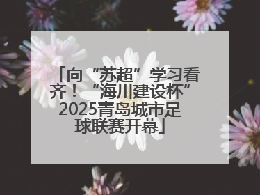 向“苏超”学习看齐！“海川建设杯”2025青岛城市足球联赛开幕