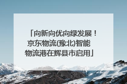 向新向优向绿发展！京东物流(豫北)智能物流港在辉县市启用