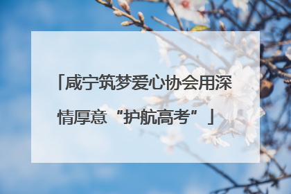 咸宁筑梦爱心协会用深情厚意“护航高考”
