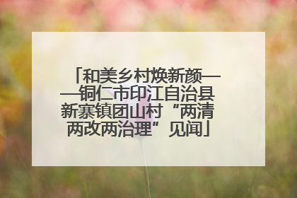 和美乡村焕新颜——铜仁市印江自治县新寨镇团山村“两清两改两治理”见闻