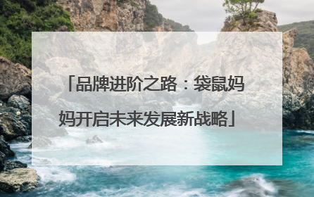 品牌进阶之路：袋鼠妈妈开启未来发展新战略