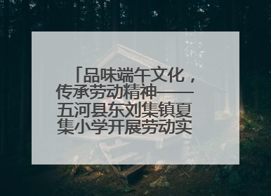 品味端午文化，传承劳动精神——五河县东刘集镇夏集小学开展劳动实践教育活动
