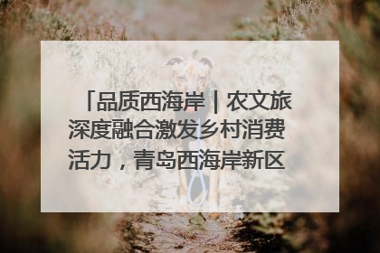 品质西海岸｜农文旅深度融合激发乡村消费活力，青岛西海岸新区的乡村振兴实践