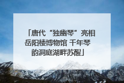 唐代“独幽琴”亮相岳阳楼博物馆 千年琴韵洞庭湖畔苏醒