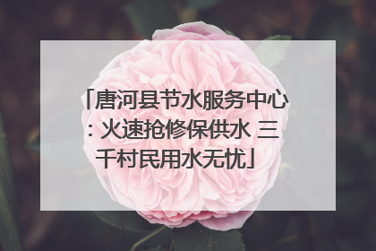 唐河县节水服务中心：火速抢修保供水 三千村民用水无忧