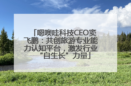 嗯噢哇科技CEO窦飞鹏：共创旅游专业能力认知平台，激发行业“自生长”力量