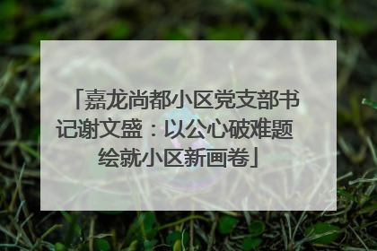 嘉龙尚都小区党支部书记谢文盛：以公心破难题 绘就小区新画卷