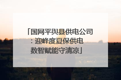 国网平舆县供电公司：迎峰度夏保供电  数智赋能守清凉