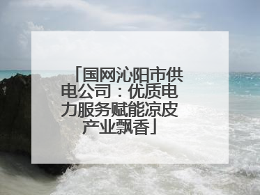 国网沁阳市供电公司：优质电力服务赋能凉皮产业飘香
