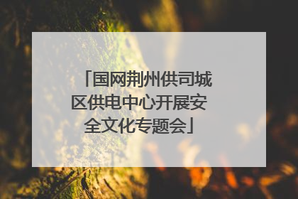 国网荆州供司城区供电中心开展安全文化专题会