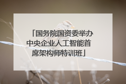 国务院国资委举办中央企业人工智能首席架构师特训班