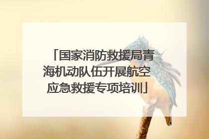 国家消防救援局青海机动队伍开展航空应急救援专项培训