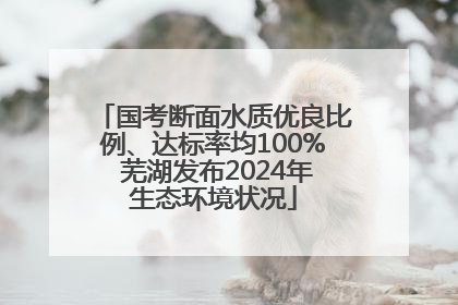 国考断面水质优良比例、达标率均100% 芜湖发布2024年生态环境状况