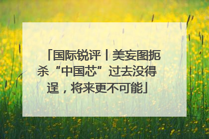 国际锐评丨美妄图扼杀“中国芯”过去没得逞，将来更不可能