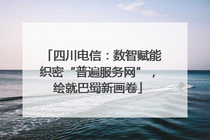 四川电信：数智赋能织密“普遍服务网”，绘就巴蜀新画卷