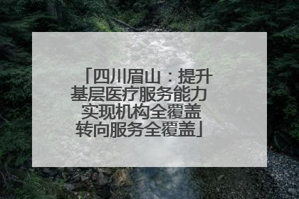 四川眉山：提升基层医疗服务能力 实现机构全覆盖转向服务全覆盖