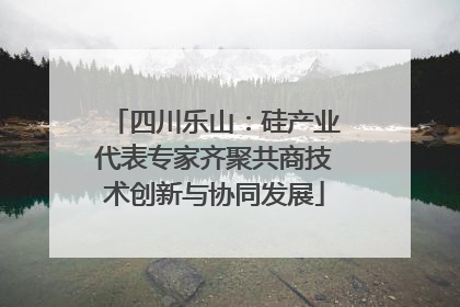 四川乐山：硅产业代表专家齐聚共商技术创新与协同发展