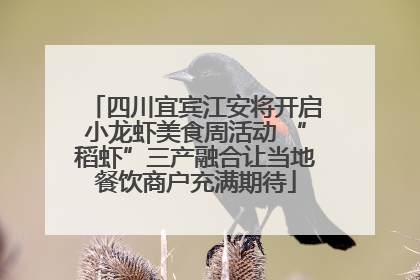 四川宜宾江安将开启小龙虾美食周活动 “稻虾”三产融合让当地餐饮商户充满期待
