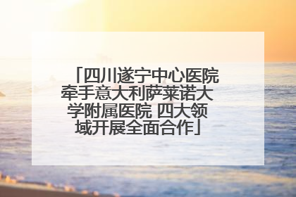 四川遂宁中心医院牵手意大利萨莱诺大学附属医院 四大领域开展全面合作