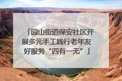 园山街道保安社区开展多元手工践行老年友好服务“四有一无”