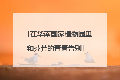 在华南国家植物园里和芬芳的青春告别