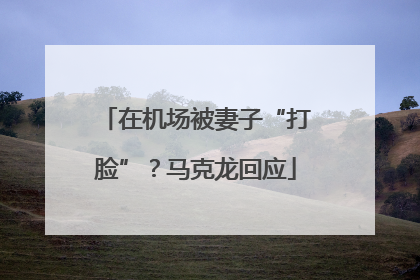 在机场被妻子“打脸”？马克龙回应