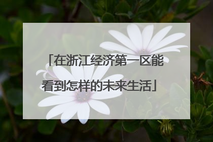 在浙江经济第一区能看到怎样的未来生活