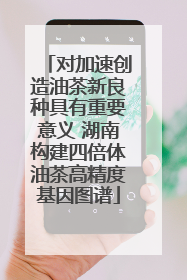 对加速创造油茶新良种具有重要意义 湖南构建四倍体油茶高精度基因图谱