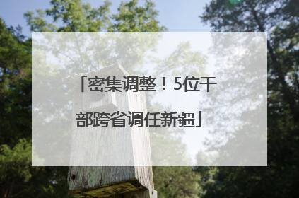 密集调整！5位干部跨省调任新疆