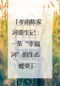 孝南陈家河重生记：一条“幸福河”的生态蝶变