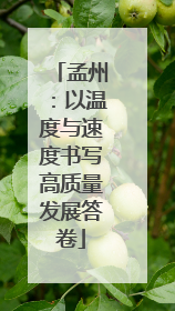 孟州：以温度与速度书写高质量发展答卷