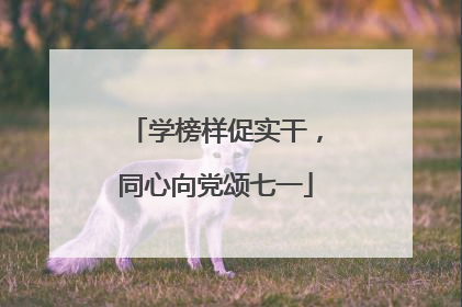 学榜样促实干，同心向党颂七一