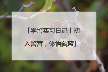 学警实习日记丨初入警营，体悟藏蓝