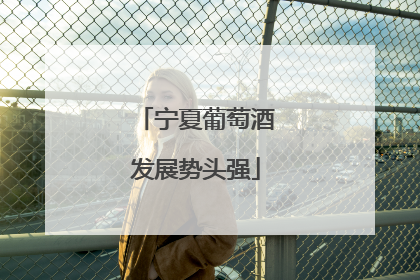 宁夏葡萄酒发展势头强