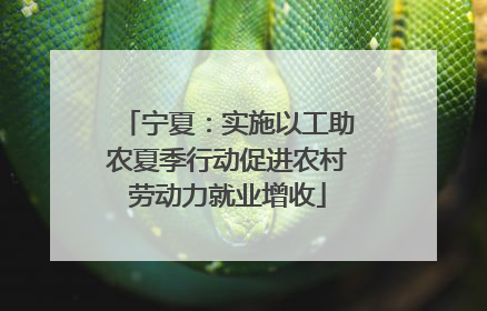 宁夏：实施以工助农夏季行动促进农村劳动力就业增收