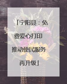 宁阳县：免费爱心打印 推动便民服务再升级