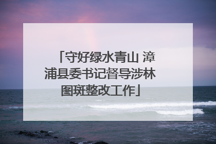守好绿水青山 漳浦县委书记督导涉林图斑整改工作
