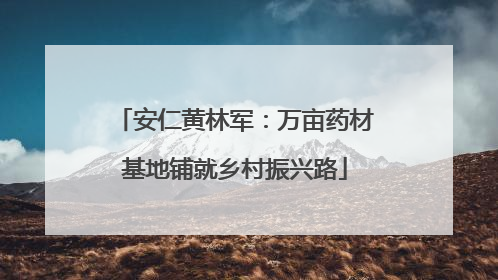 安仁黄林军：万亩药材基地铺就乡村振兴路