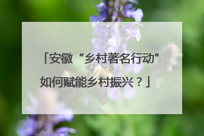 安徽“乡村著名行动”如何赋能乡村振兴？