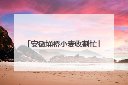 安徽埇桥小麦收割忙