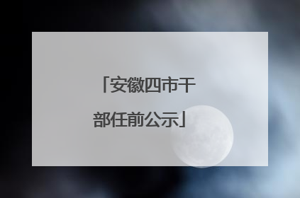 安徽四市干部任前公示