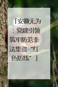 安徽无为：党建引领筑牢防范非法集资“红色防线”